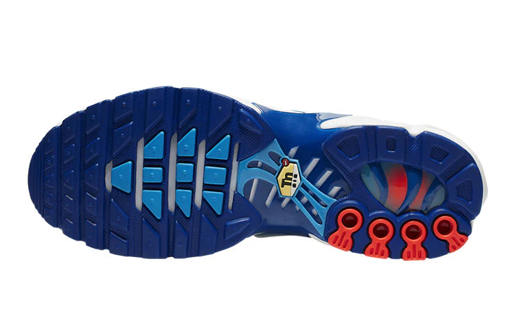 Nike Air Max Plus 3D Glasses