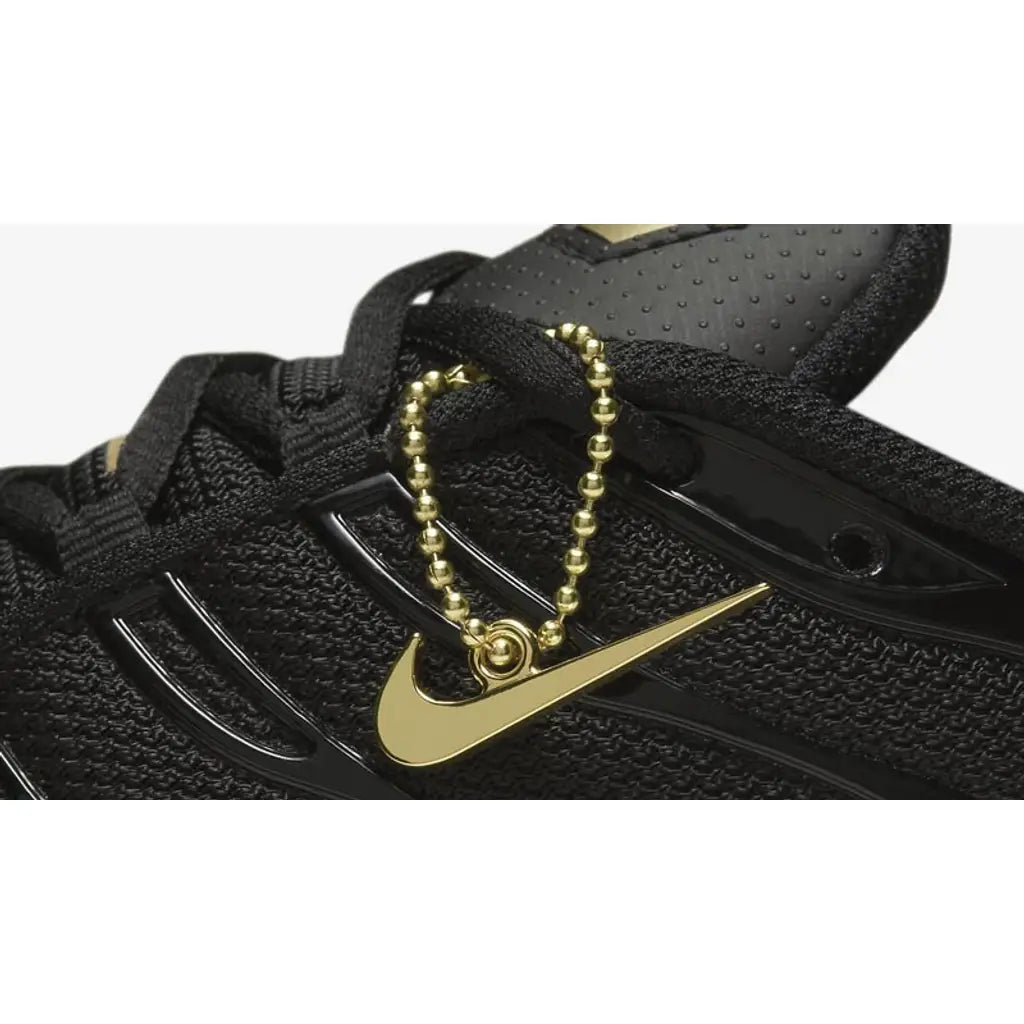 Nike TN Air Max Plus Black Metallic Gold